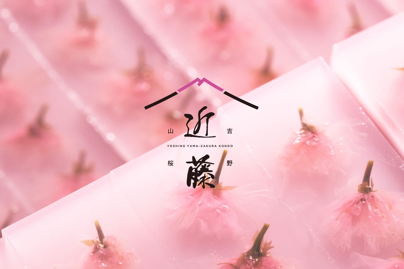 吉野 山桜 近藤 ｜ 吉野 山桜 近藤 ブランディング